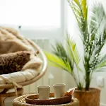 La Canopee - Bohemian - Chic * Lens